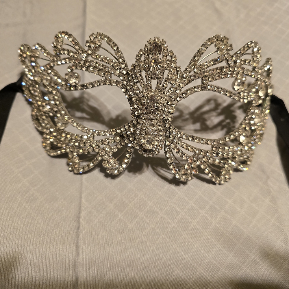 Elegant Silver Masquerade Mask